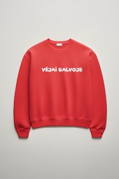 VĖJAI GALVOJE - UNISEX DŽEMPERIS
